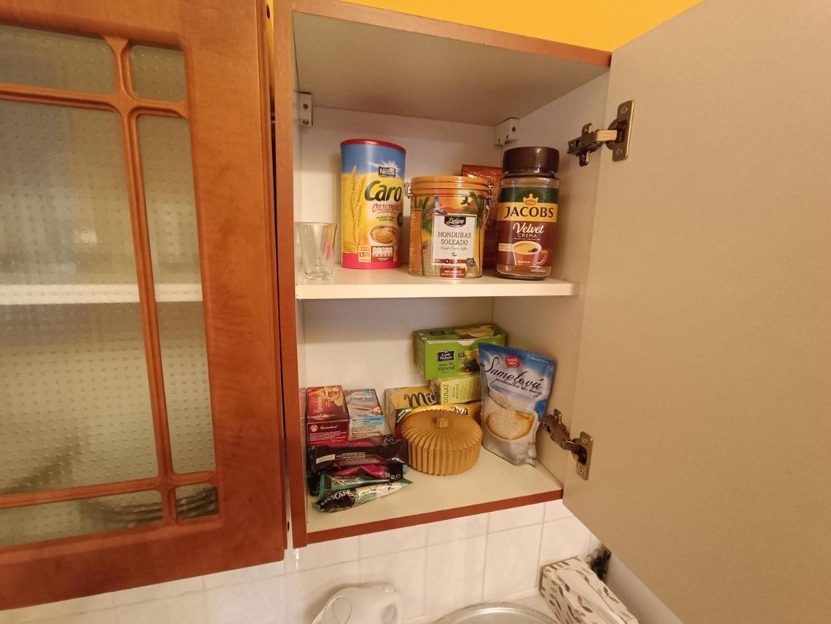 Apartman Horni Slavkov Hodinarstvi エクステリア 写真