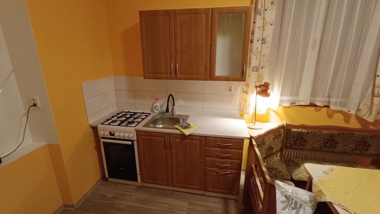 Apartman Horni Slavkov Hodinarstvi エクステリア 写真