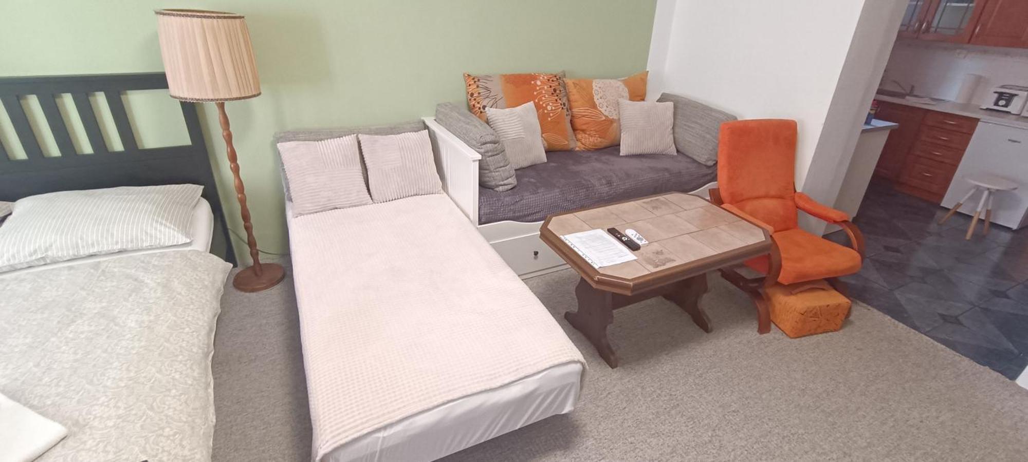 Apartman Horni Slavkov Hodinarstvi エクステリア 写真