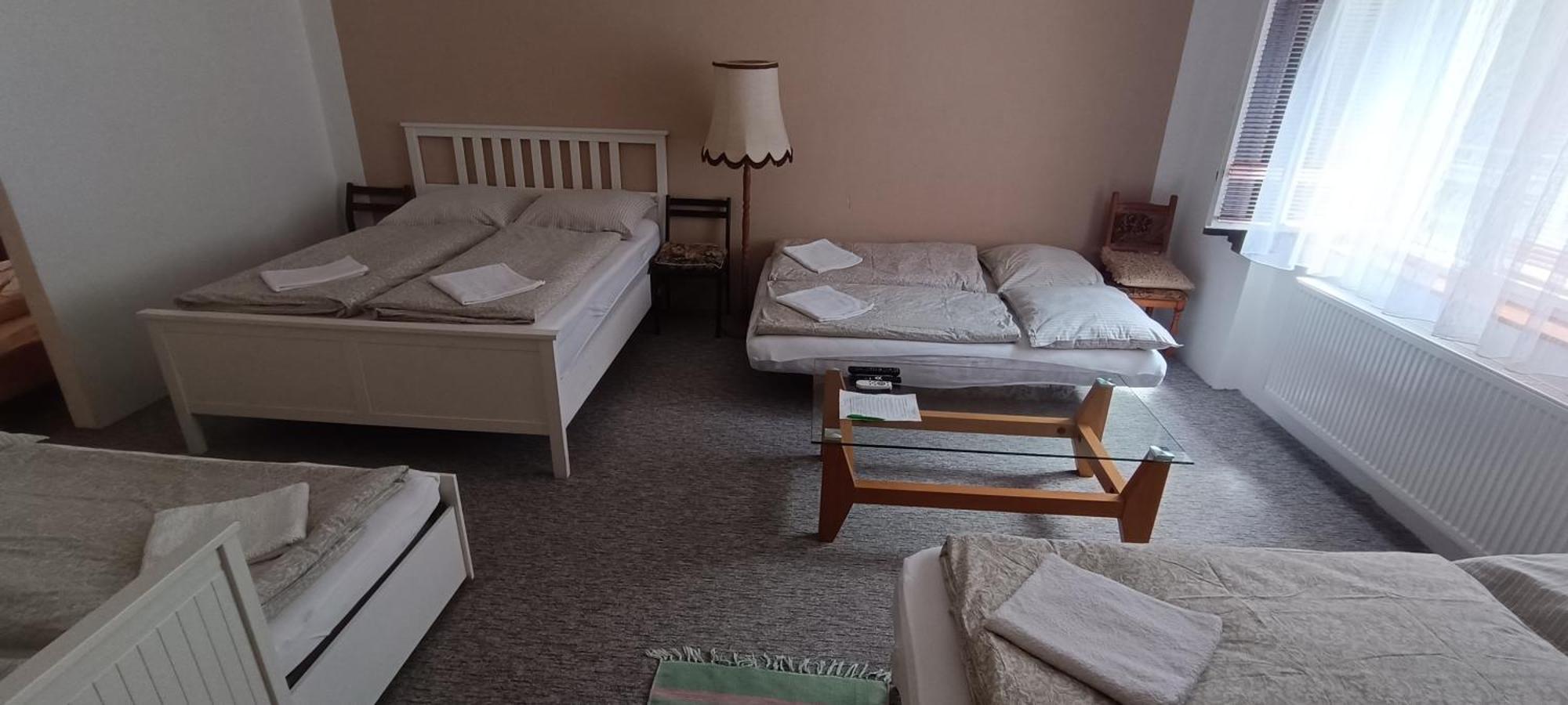 Apartman Horni Slavkov Hodinarstvi エクステリア 写真